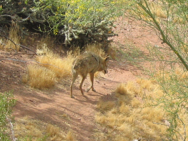 618x457 pixels (230K)